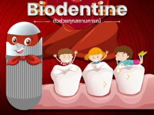 Septodont Biodentine (5 x capsules + 5 x single-dose containers)