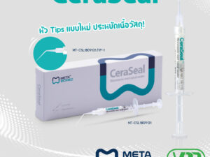 CeraSeal 2g with 10 tips Bioceramic sealer MT-CERASEAL