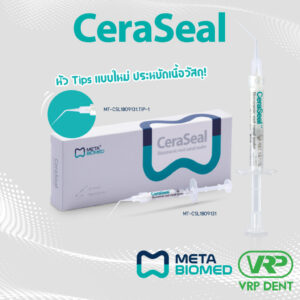CeraSeal 2g with 10 tips Bioceramic sealer MT-CERASEAL