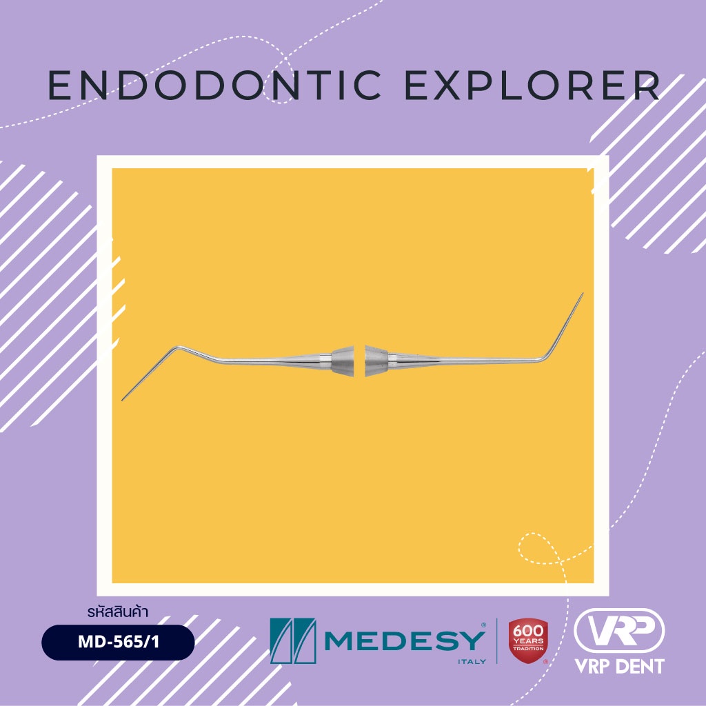 Endodontic explorer dg 16/1 MD-565/1 - Image 2